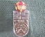 Знак, значок "25 лет, эмблема". Орден Октябрьской Революции. Накладной.