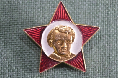 Знак, значок "Октябренок". #2. Октябрята по стране Октября. СССР.