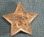 Знак, значок "Октябренок". #2. Октябрята по стране Октября. СССР.
