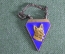 Знак жетон призовой"Немецкая Овчарка. Первый приз". МОАХ. ОСОАВИАХИМ. 1930 год. 