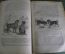 Книга старинная "Жизнь животных". Том 1-й. А. Брэм. 1874 год.