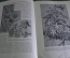 Журнал старинный "Знание для всех. Тайны цветов". Царская Россия. 1915 год.