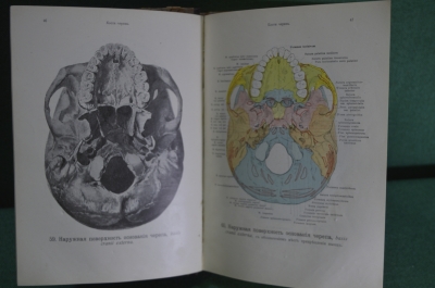 Анатомический атлас, дореволюционный. Медицина, анатомия человека.