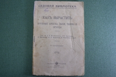 Справочник "Как вырастить крупные арбузы, дыни, тыквы и огурцы". Издательство Сойкина, 1913 год.