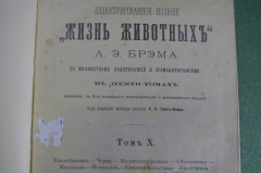 Книга "Жизнь животных". Том X. ракообразные, черви, моллюски. А.Э. Брэм. 1896 год. #A2