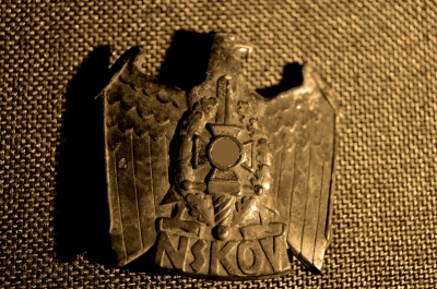 Знак NSKOV, 3-й рейх