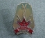 Знак, значок "ПВВКУС, 1968 год". Полтавское высшее военное училище связи. 1-й выпуск.
