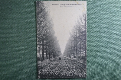 Открытка старинная "Москва. Московский сельско-хозяйственный институт. Аллея". Российская Империя.