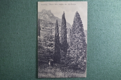 Открытка старинная "Алупка. Вид из парка на Ай-Петри". Крым. Издание Димитрия Николича. Чистая.