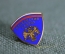 Знак, значок "Банковский надзор". Банк, банковское дело. Центробанк РФ.