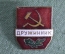 Знак значок "Дружинник ДНД". Тяжелый металл. Горячая эмаль. СССР.