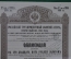 Российский 3% Золотой заем, 1894 года. Облигация в 125 рублей золотом №096584