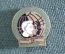 Знак, значок "Всемирная федерация демократической молодежи". World Federation of democratic youth. 