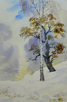 Картина "Дуб и береза", акварель. Автор - Шавлов А.Ф., 1992г.
