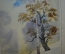 Картина "Дуб и береза", акварель. Автор - Шавлов А.Ф., 1992г.