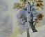 Картина "Дуб и береза", акварель. Автор - Шавлов А.Ф., 1992г.