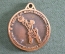 Медаль "IV международный мужской чемпионат по баскетболу. Эдмонтон, Канада, 1991 год". Edmonton.