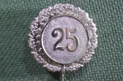 Знак, значок, фрачник "25". Германия. #1