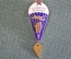 Знак, значок "Парашютист отличник". 10 прыжков.