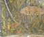 Картина "Браконьеры. Охота, егеря". Холст, масло. П. Маяков, 1990 год. Размеры: 97 * 77 см.