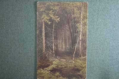 Открытка старинная "Лесная глушь", Шишикин, до 1917 года